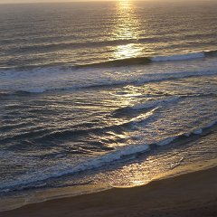 GirlsWildCat 083 : GirlsWildCat